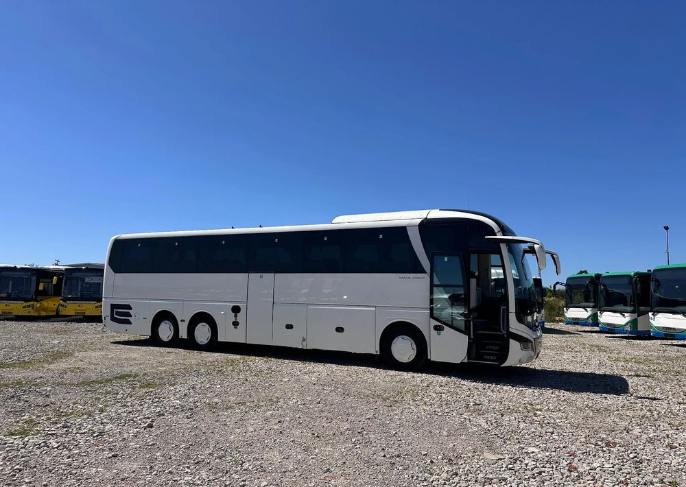 MAN Lions Coach - Coach: picture 2 MAN Lions Coach - Coach: picture 2