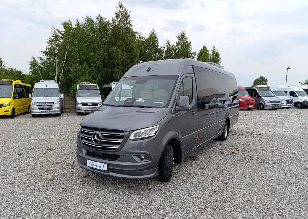 New Minibus, Passenger van Mercedes-Benz Sprinter 519: picture 11