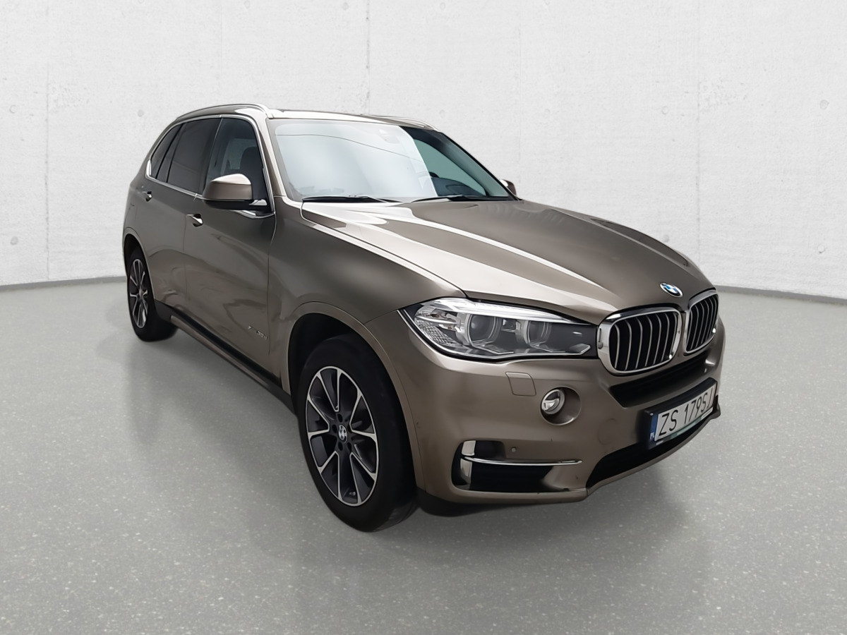 Car BMW X5 XDRIVE30D SUV: picture 1