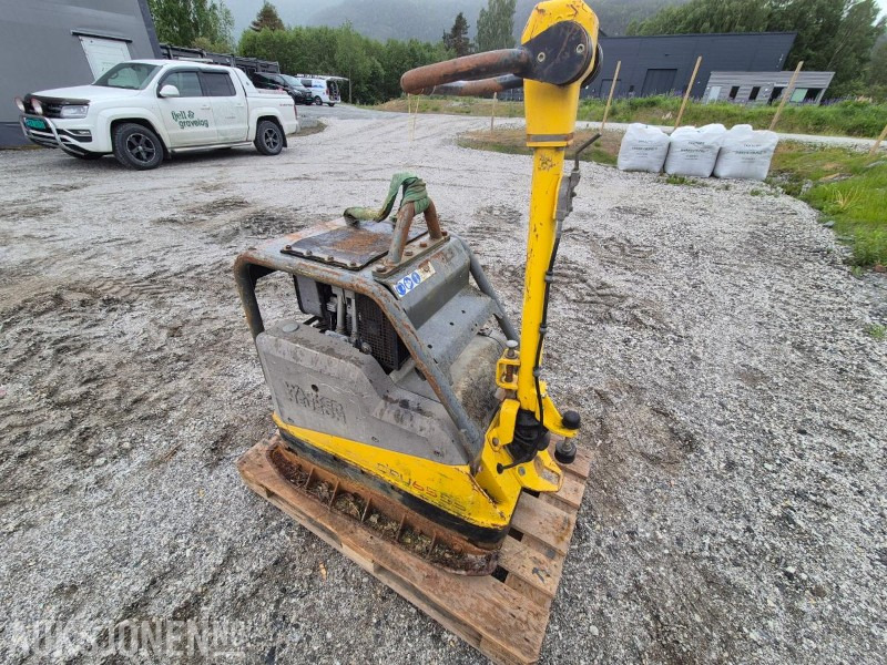 2012 Wacker Neuson DPU6555 / Hoppetusse / Vibroplate / Komprimator - Roller: picture 1 2012 Wacker Neuson DPU6555 / Hoppetusse / Vibroplate / Komprimator - Roller: picture 1