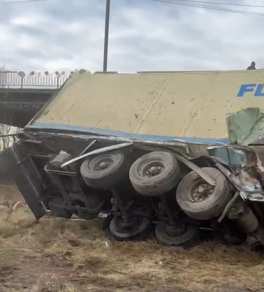 Schmitz Cargobull Original SCHMITZ FRIGO sasiu + documente ACTE - Isothermal semi-trailer: picture 1 Schmitz Cargobull Original SCHMITZ FRIGO sasiu + documente ACTE - Isothermal semi-trailer: picture 1