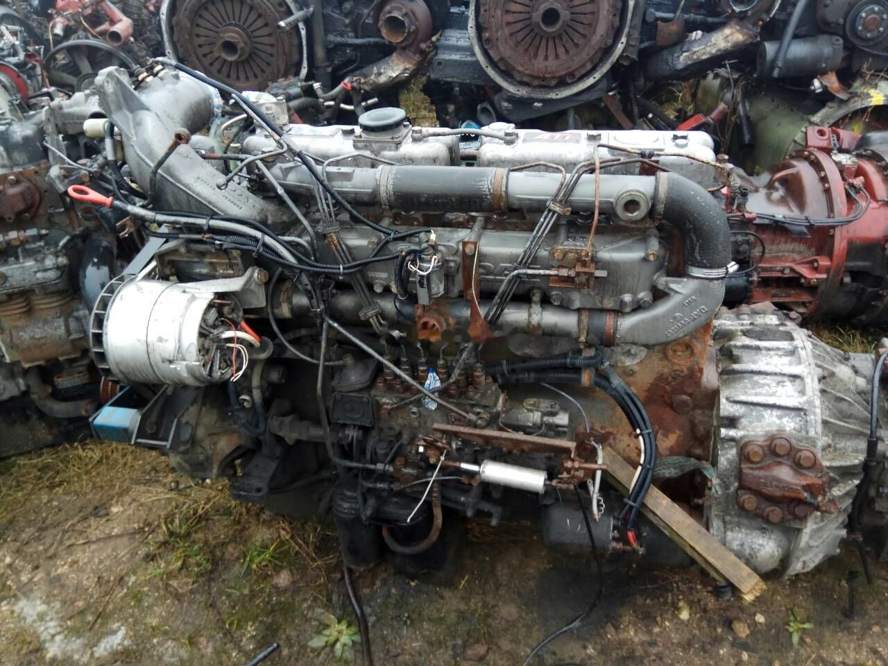 DAF ATI WS 268 L DAF 85, 95 - Engine for Truck: picture 4 DAF ATI WS 268 L DAF 85, 95 - Engine for Truck: picture 4