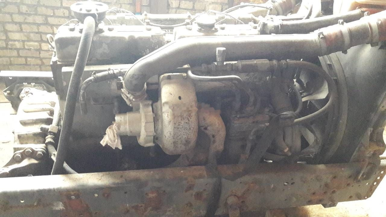DAF WS 268 G DAF 95, 85 - Engine for Truck: picture 2 DAF WS 268 G DAF 95, 85 - Engine for Truck: picture 2