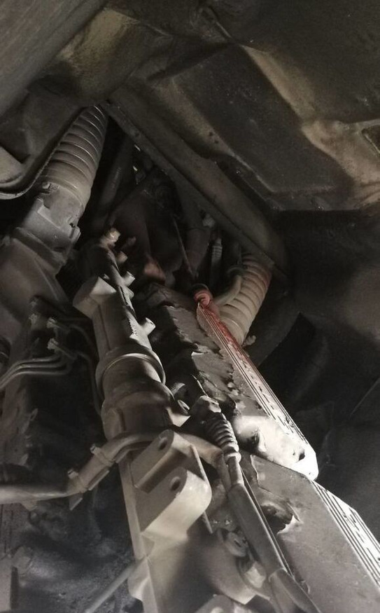 DAF XE 315 C1 DAF XF - Engine for Truck: picture 1 DAF XE 315 C1 DAF XF - Engine for Truck: picture 1