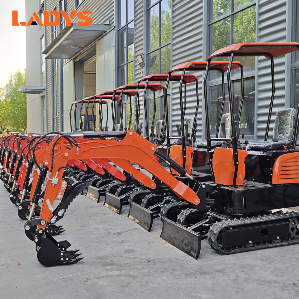 LADYS Mini Excavator CE Certification Kubota Engine(Factory Outlet) Mini Pelle Minibagger Minikoparka Miniexcavadora - Mini excavator: picture 1 LADYS Mini Excavator CE Certification Kubota Engine(Factory Outlet) Mini Pelle Minibagger Minikoparka Miniexcavadora - Mini excavator: picture 1