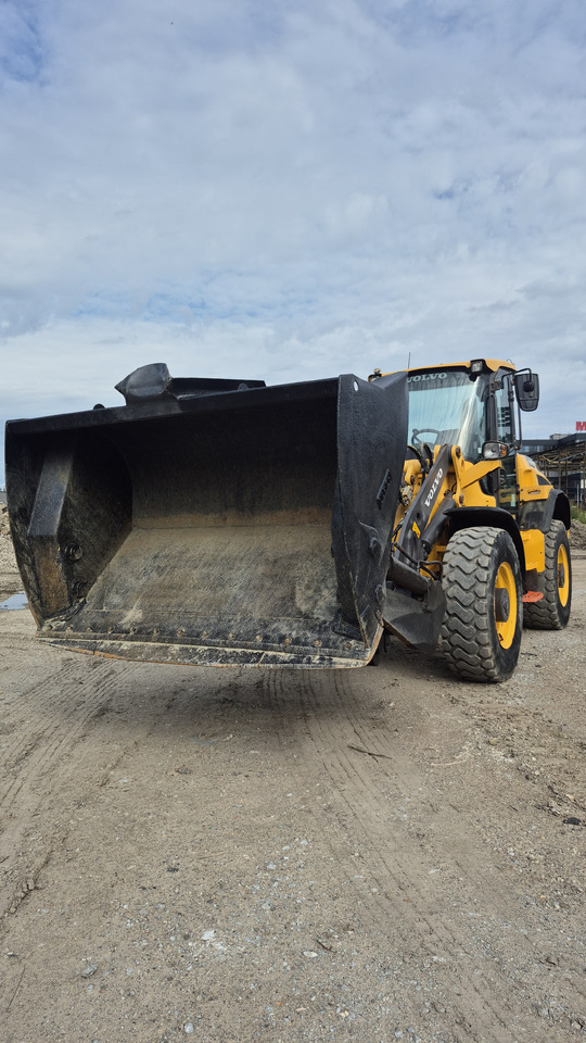 VOLVO L45H - Wheel loader: picture 3 VOLVO L45H - Wheel loader: picture 3
