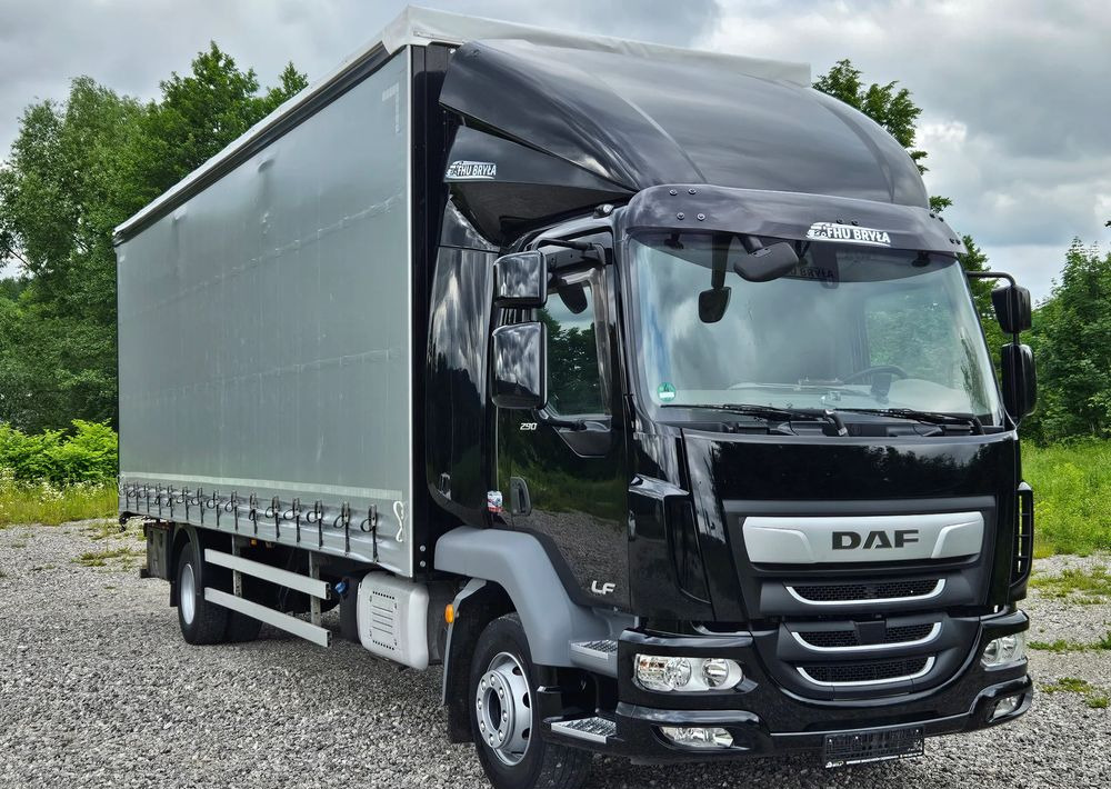 DAF LF 290 / WINDA / 16TON DMC / FIRANKA / AUTOMAT / JEDEN WŁAŚCICIE / EURO 6 / 2019 / SPROWADZONY / 20PALET / NISKI PRZEBIEG / DUŻA ŁADOWNOŚĆ / JAK NOWY - Curtainsider truck: picture 3 DAF LF 290 / WINDA / 16TON DMC / FIRANKA / AUTOMAT / JEDEN WŁAŚCICIE / EURO 6 / 2019 / SPROWADZONY / 20PALET / NISKI PRZEBIEG / DUŻA ŁADOWNOŚĆ / JAK NOWY - Curtainsider truck: picture 3