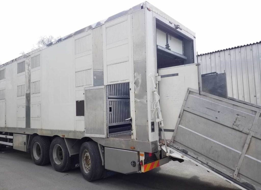 MAN TGX 35.540 8X4 TRIDEM ANIMAL - Livestock truck: picture 5 MAN TGX 35.540 8X4 TRIDEM ANIMAL - Livestock truck: picture 5