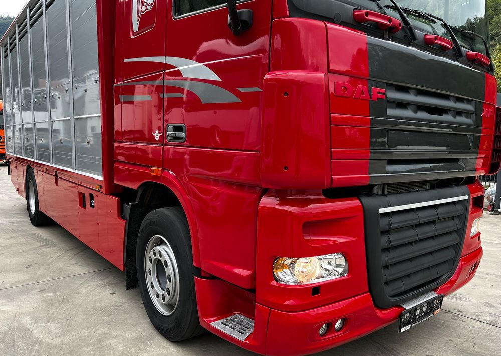 DAF XF 105.460 Euro 5 // Manual // Retarder // Do Żywca / Bydła / Zwierząt / - Livestock truck: picture 3 DAF XF 105.460 Euro 5 // Manual // Retarder // Do Żywca / Bydła / Zwierząt / - Livestock truck: picture 3