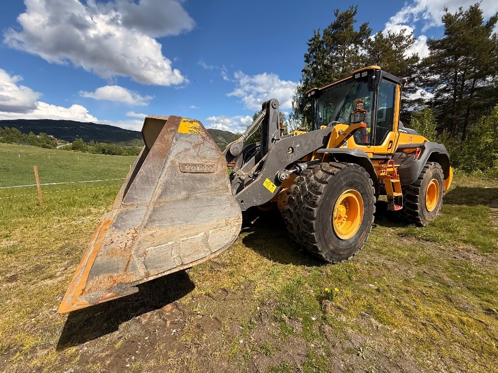 Volvo L 110 H - Wheel loader: picture 4 Volvo L 110 H - Wheel loader: picture 4