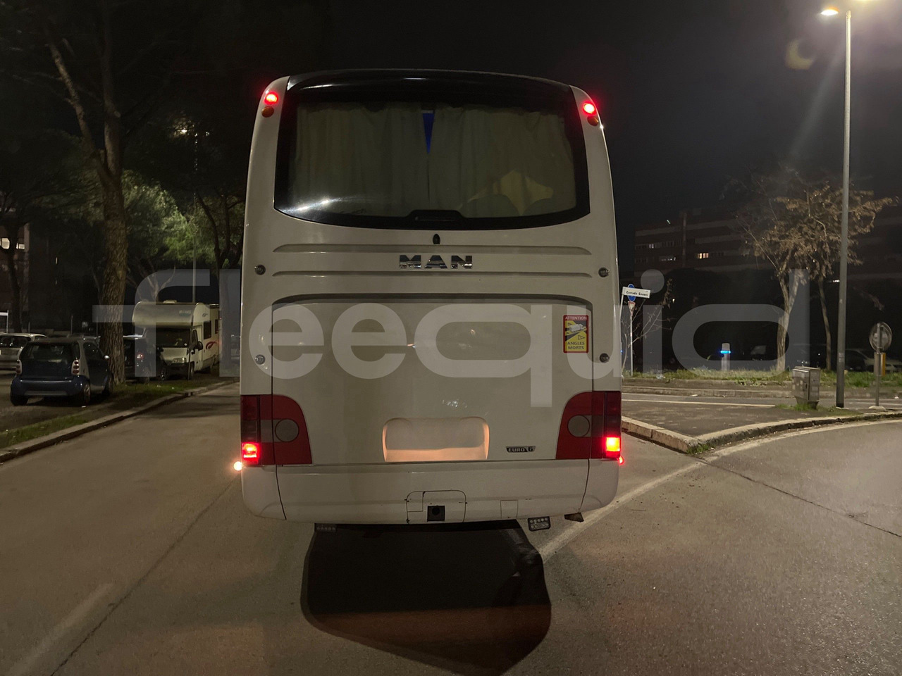 Man Lion's Coach - Coach: picture 5 Man Lion's Coach - Coach: picture 5