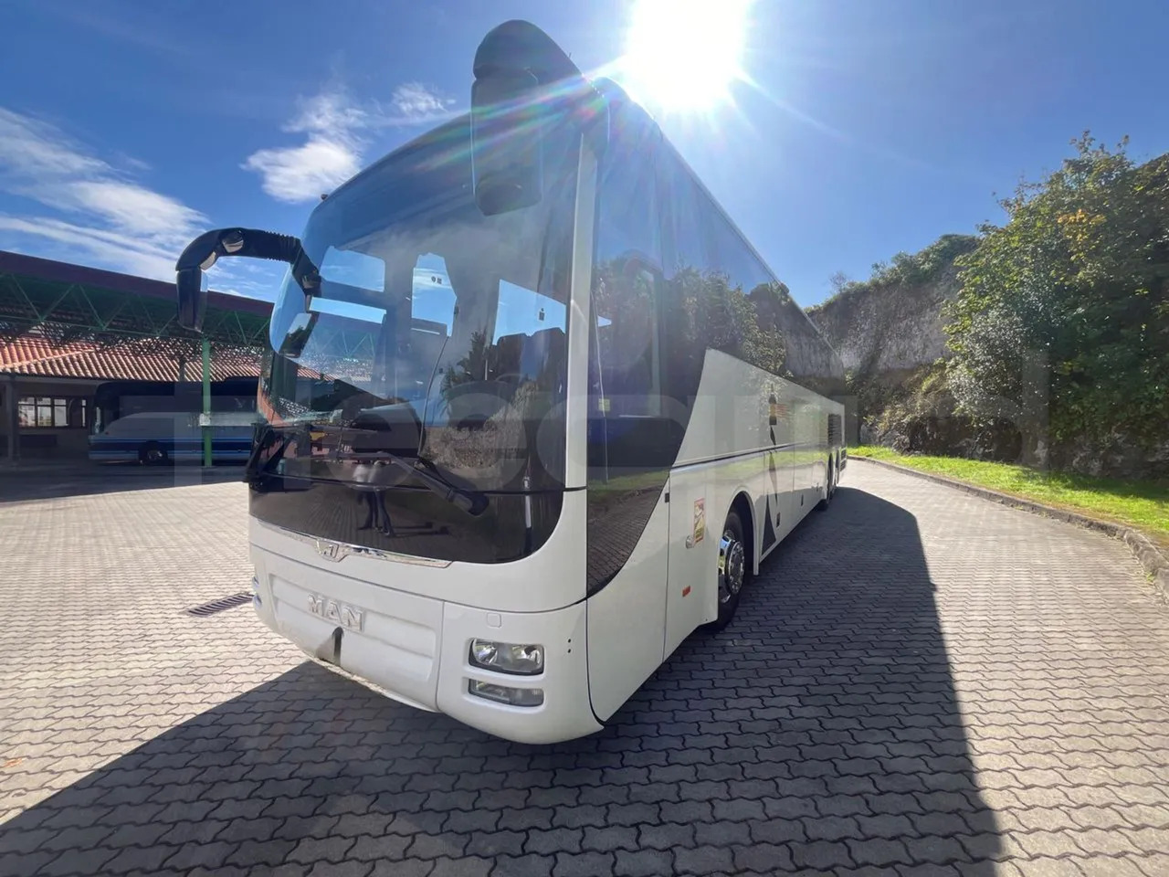 Man Lion's Coach - Coach: picture 4 Man Lion's Coach - Coach: picture 4