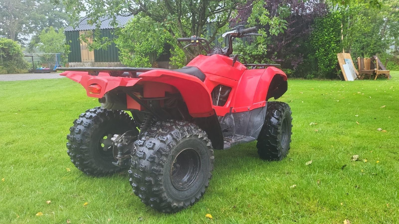 Yamaha Grizzly 300 - Side-by-side/ ATV: picture 4 Yamaha Grizzly 300 - Side-by-side/ ATV: picture 4
