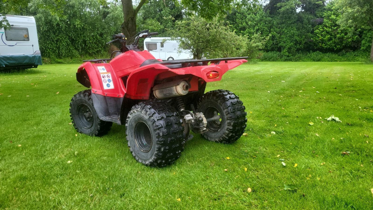 Yamaha Grizzly 300 - Side-by-side/ ATV: picture 3 Yamaha Grizzly 300 - Side-by-side/ ATV: picture 3
