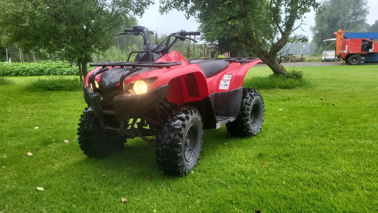 Yamaha Grizzly 300 - Side-by-side/ ATV: picture 1 Yamaha Grizzly 300 - Side-by-side/ ATV: picture 1