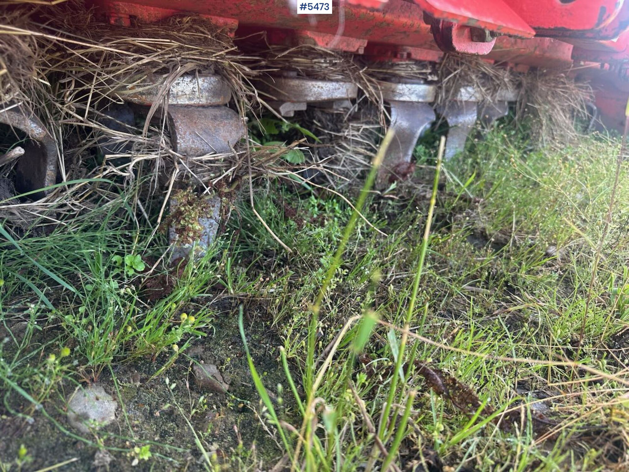 Lease a  2019 Maschio Compagna 2500 2019 Maschio Compagna 2500: picture 20