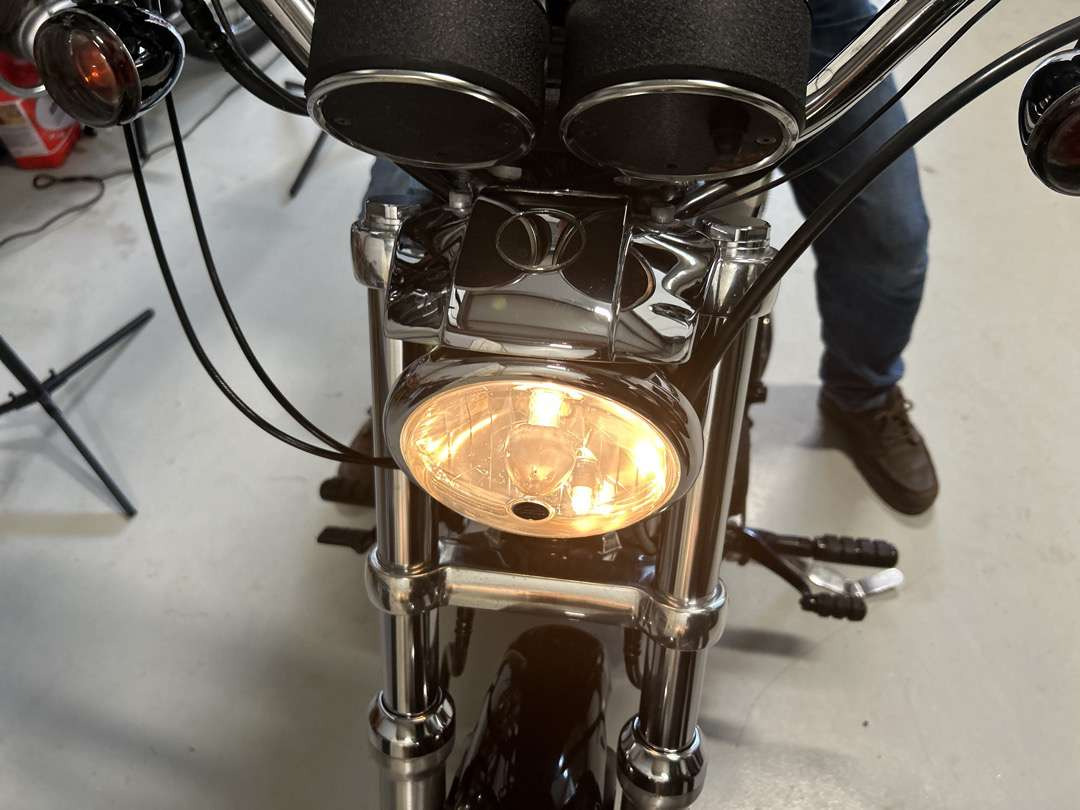 Motorcycle trailer 2006 Harley-Davidson XL Sportster 1200 Roadster: picture 15
