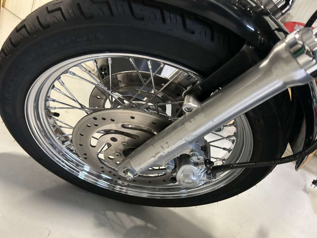 Motorcycle trailer 2006 Harley-Davidson XL Sportster 1200 Roadster: picture 10