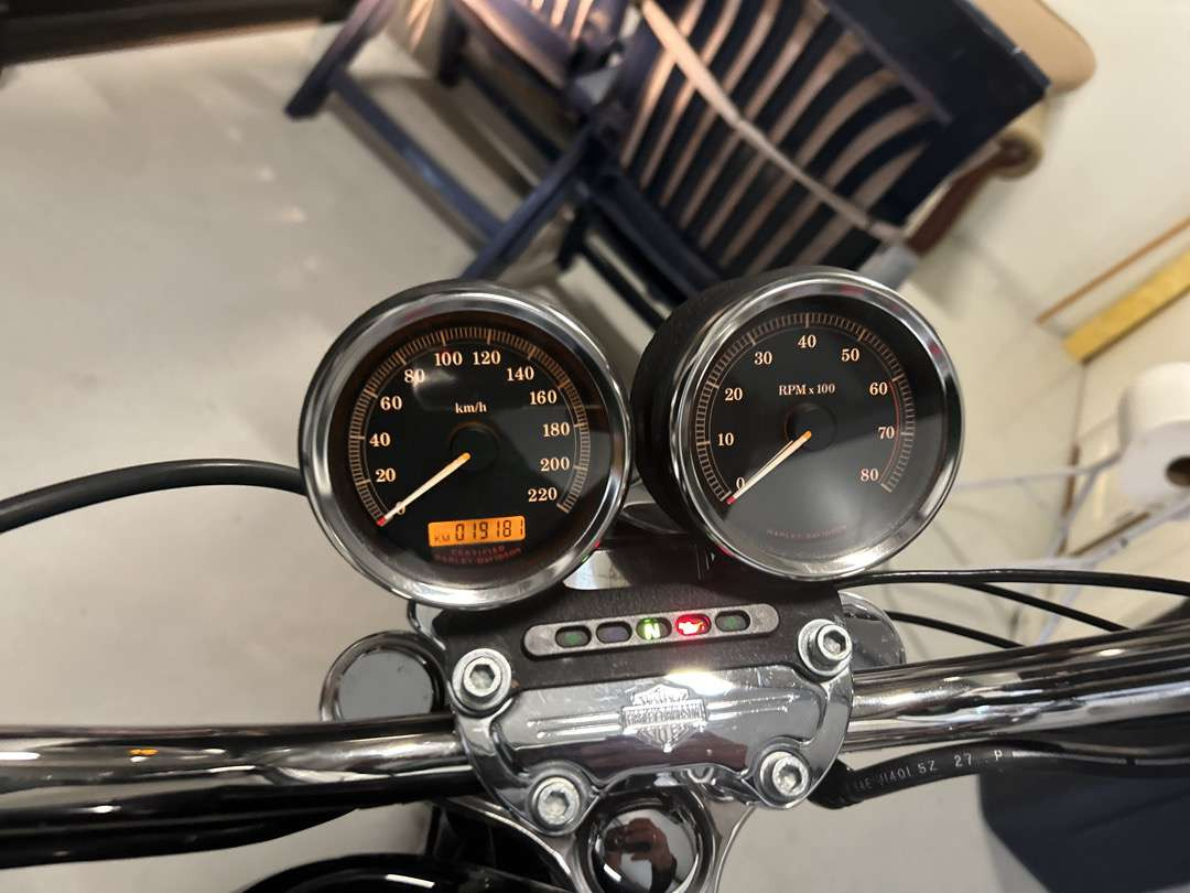 Motorcycle trailer 2006 Harley-Davidson XL Sportster 1200 Roadster: picture 14