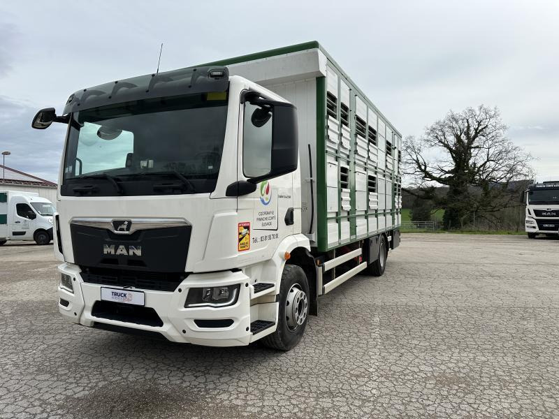 MAN M 90 15.290 TGM - Livestock truck: picture 1 MAN M 90 15.290 TGM - Livestock truck: picture 1