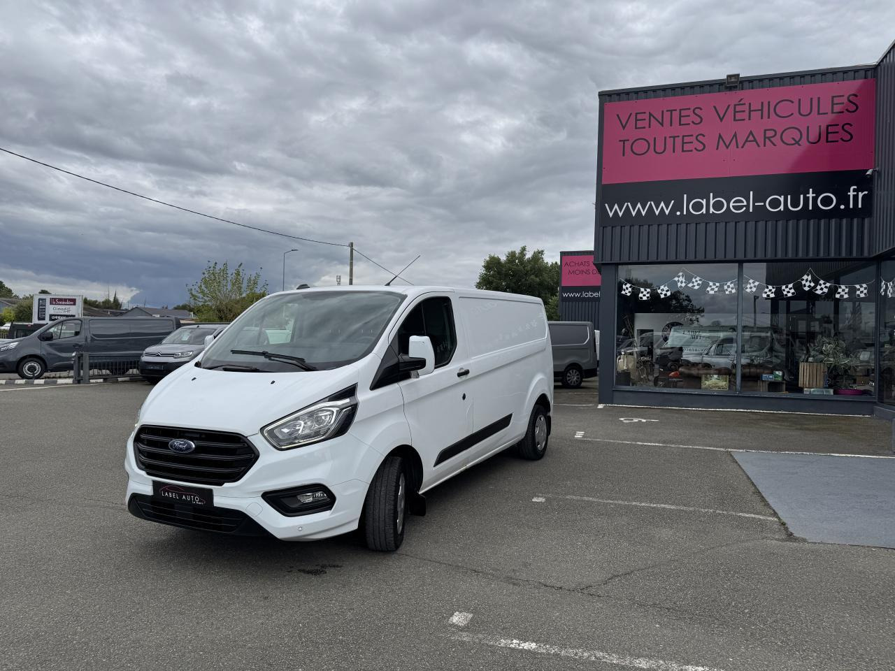 Panel van Ford Transit Custom 300 L2H1 2.0 ECOBLUE 130 HYBRID TREND BUSINESS: picture 6