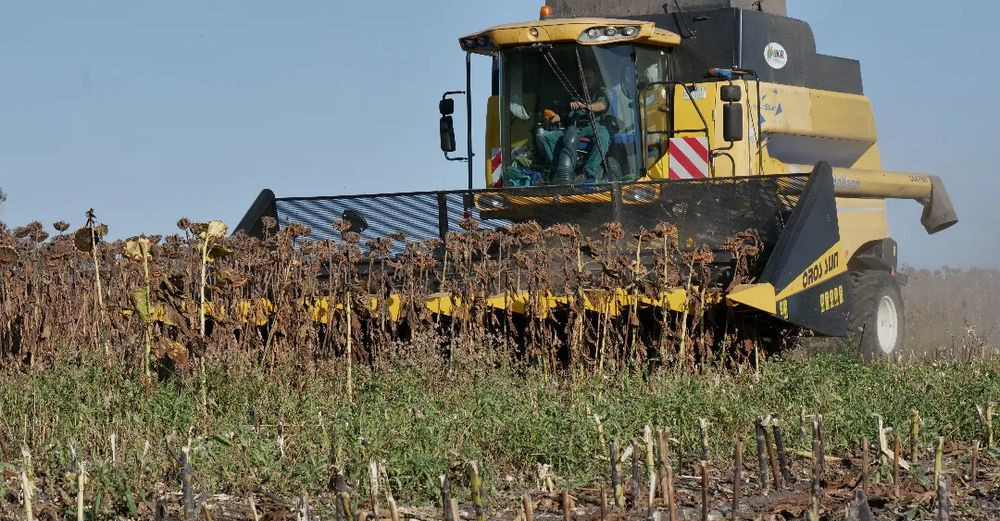 New Sunflower header Oros SUN 876 8 rzędowy, Nowe Przystawki do zbioru słonecznika,: picture 15 New Sunflower header Oros SUN 876 8 rzędowy, Nowe Przystawki do zbioru słonecznika,: picture 15