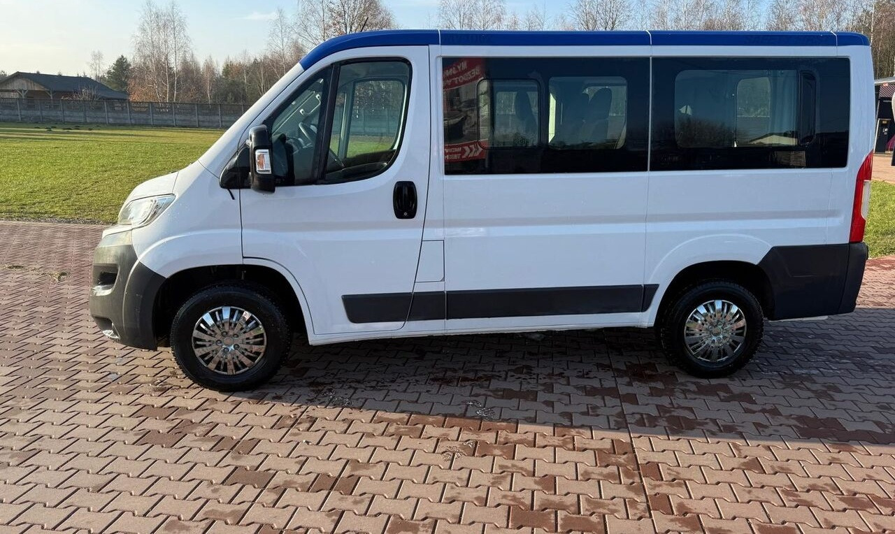 FIAT Ducato - Minibus, Passenger van: picture 1 FIAT Ducato - Minibus, Passenger van: picture 1
