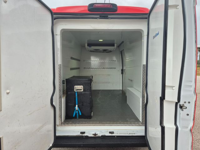 Refrigerated van Fiat Ducato Refrigerated Van: picture 12