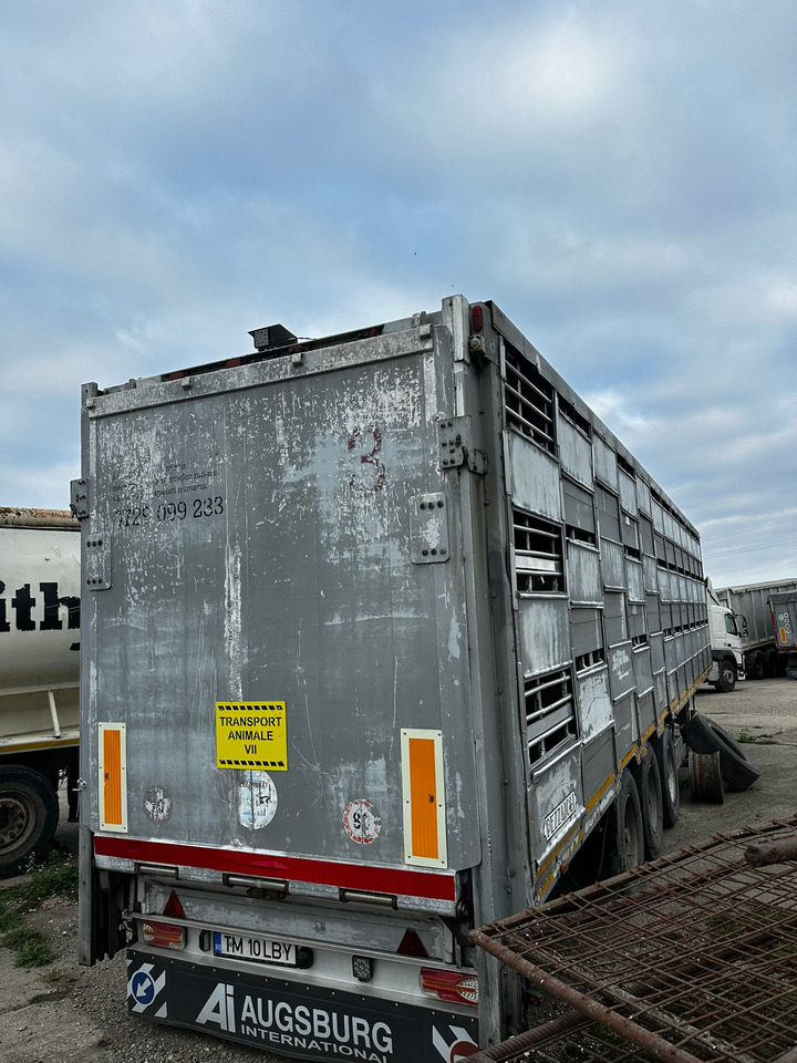 PEZZAIOLLI Animal Transport Semi-trailer - Livestock semi-trailer: picture 3 PEZZAIOLLI Animal Transport Semi-trailer - Livestock semi-trailer: picture 3