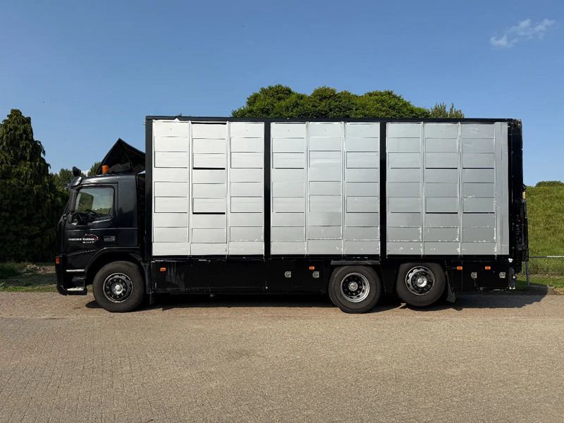 Volvo FM 300 Livestock Cuppers 3 laags 6x2 - Livestock truck: picture 4 Volvo FM 300 Livestock Cuppers 3 laags 6x2 - Livestock truck: picture 4