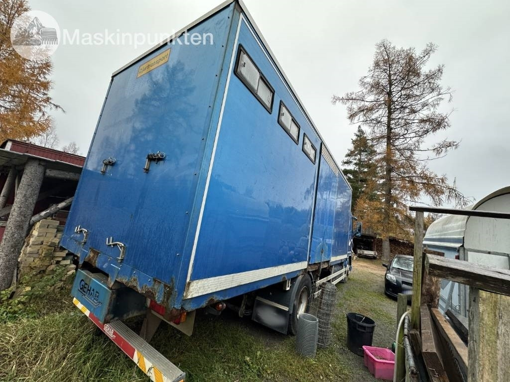 Volvo FH 12 - Livestock truck: picture 4 Volvo FH 12 - Livestock truck: picture 4