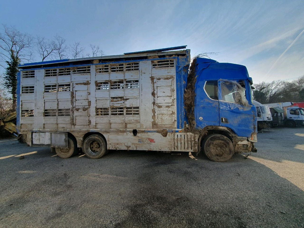 SCANIA R580 - Livestock truck: picture 3 SCANIA R580 - Livestock truck: picture 3