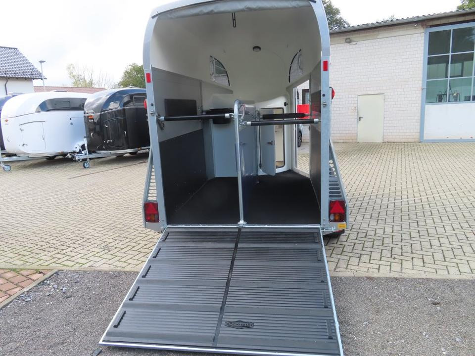 Horse trailer Böckmann, Pferdeanhänger, der neue Big Champion WCF 2024: picture 12