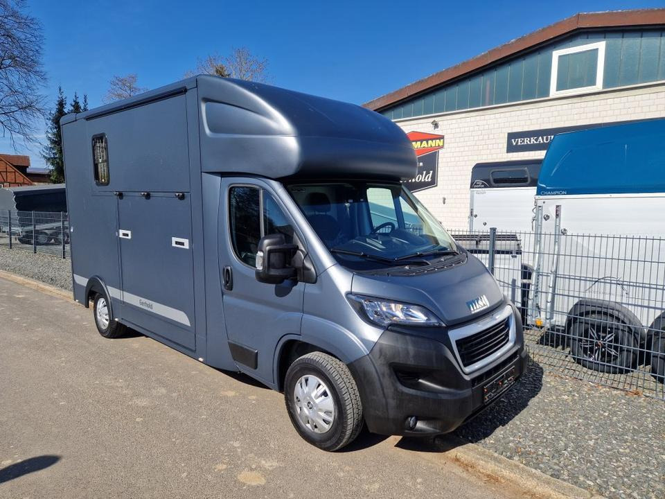 MSG Stablehopper Pferdetransporter Pferdeanhänger Böckmann - Horse truck: picture 3 MSG Stablehopper Pferdetransporter Pferdeanhänger Böckmann - Horse truck: picture 3