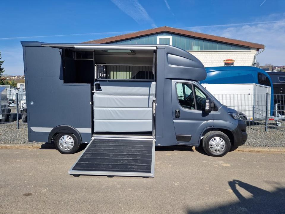 Horse truck MSG Stablehopper Pferdetransporter Pferdeanhänger Böckmann: picture 10