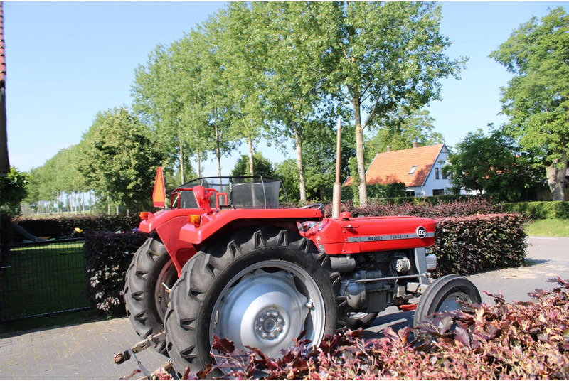 Massey Ferguson 135 - Farm tractor: picture 3 Massey Ferguson 135 - Farm tractor: picture 3