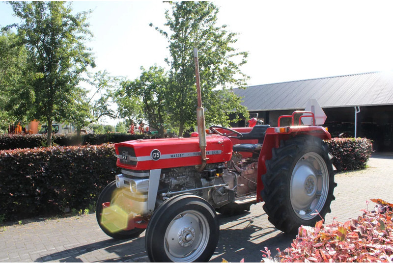 Massey Ferguson 135 - Farm tractor: picture 5 Massey Ferguson 135 - Farm tractor: picture 5