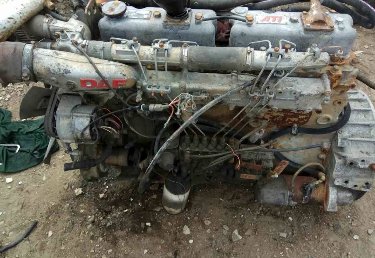 DAF ATI WS259 E2 DAF - Engine for Truck: picture 1 DAF ATI WS259 E2 DAF - Engine for Truck: picture 1