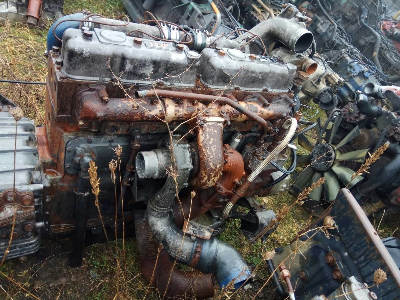 DAF ATI WS315M DAF 95 - Engine for Truck: picture 3 DAF ATI WS315M DAF 95 - Engine for Truck: picture 3