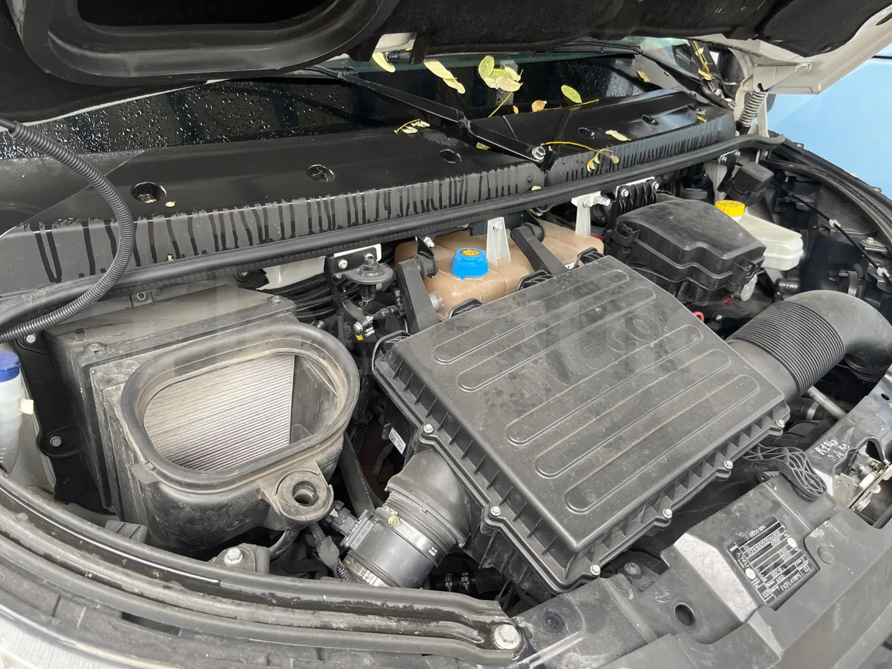 Suburban bus Iveco Daily: picture 17 Suburban bus Iveco Daily: picture 17