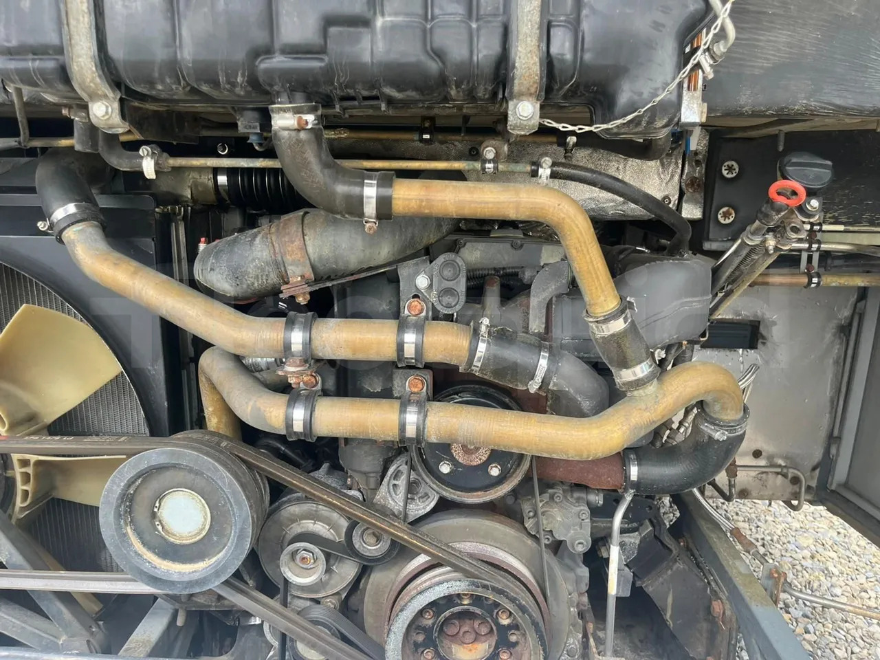 Suburban bus Mercedes-Benz Intouro: picture 15 Suburban bus Mercedes-Benz Intouro: picture 15