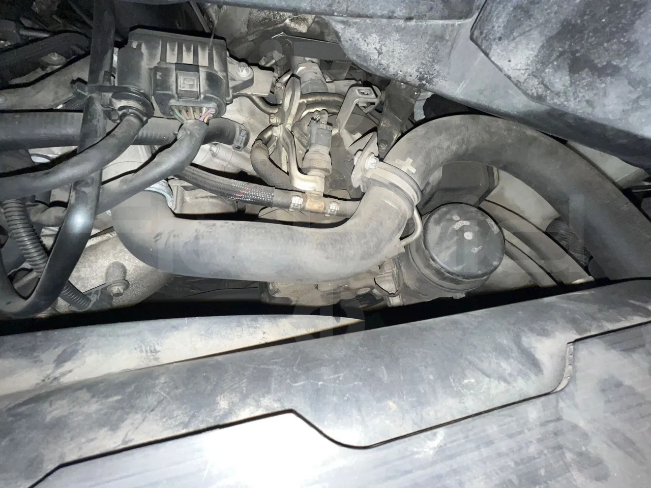 Minibus, Passenger van Mercedes-Benz Sprinter: picture 15