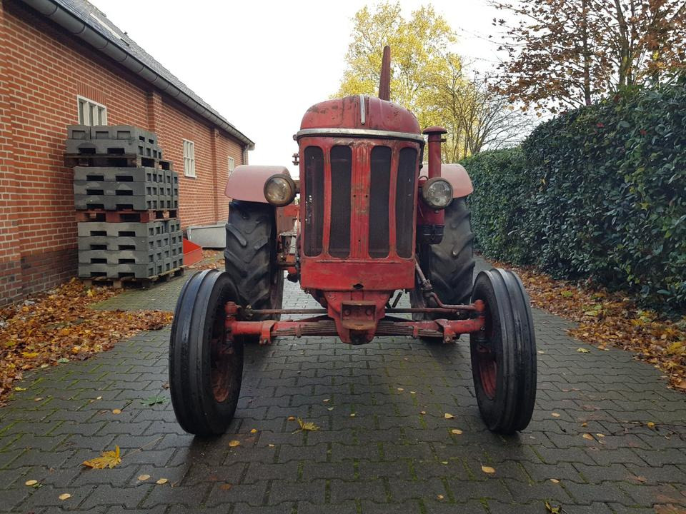 Oldtimer Hanomag R425 - Farm tractor: picture 5 Oldtimer Hanomag R425 - Farm tractor: picture 5