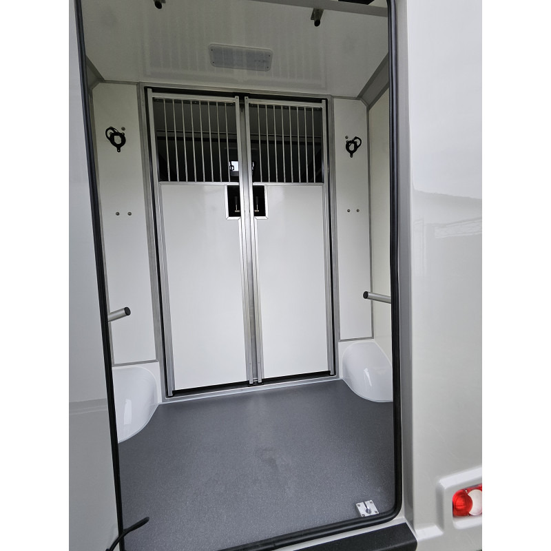 Opel Movano AKX by Stephex - Horse truck: picture 4 Opel Movano AKX by Stephex - Horse truck: picture 4