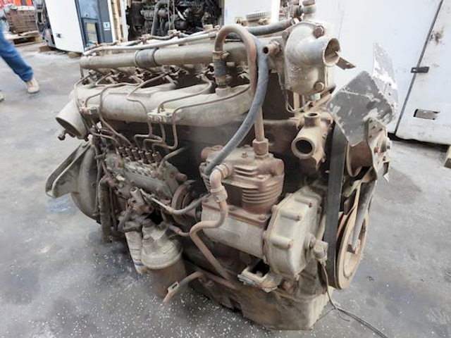 DAF 825 (DH825) - Engine: picture 2 DAF 825 (DH825) - Engine: picture 2