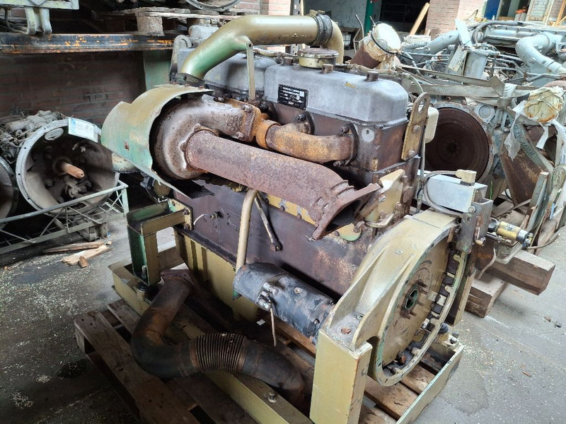 DAF 825 TURBO (DHU825) - Engine: picture 5 DAF 825 TURBO (DHU825) - Engine: picture 5