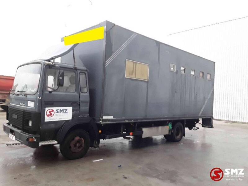 Iveco Magirus 80 16 horse truck - Livestock truck: picture 5 Iveco Magirus 80 16 horse truck - Livestock truck: picture 5