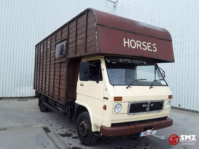 MAN 8.136 - Livestock truck: picture 1 MAN 8.136 - Livestock truck: picture 1