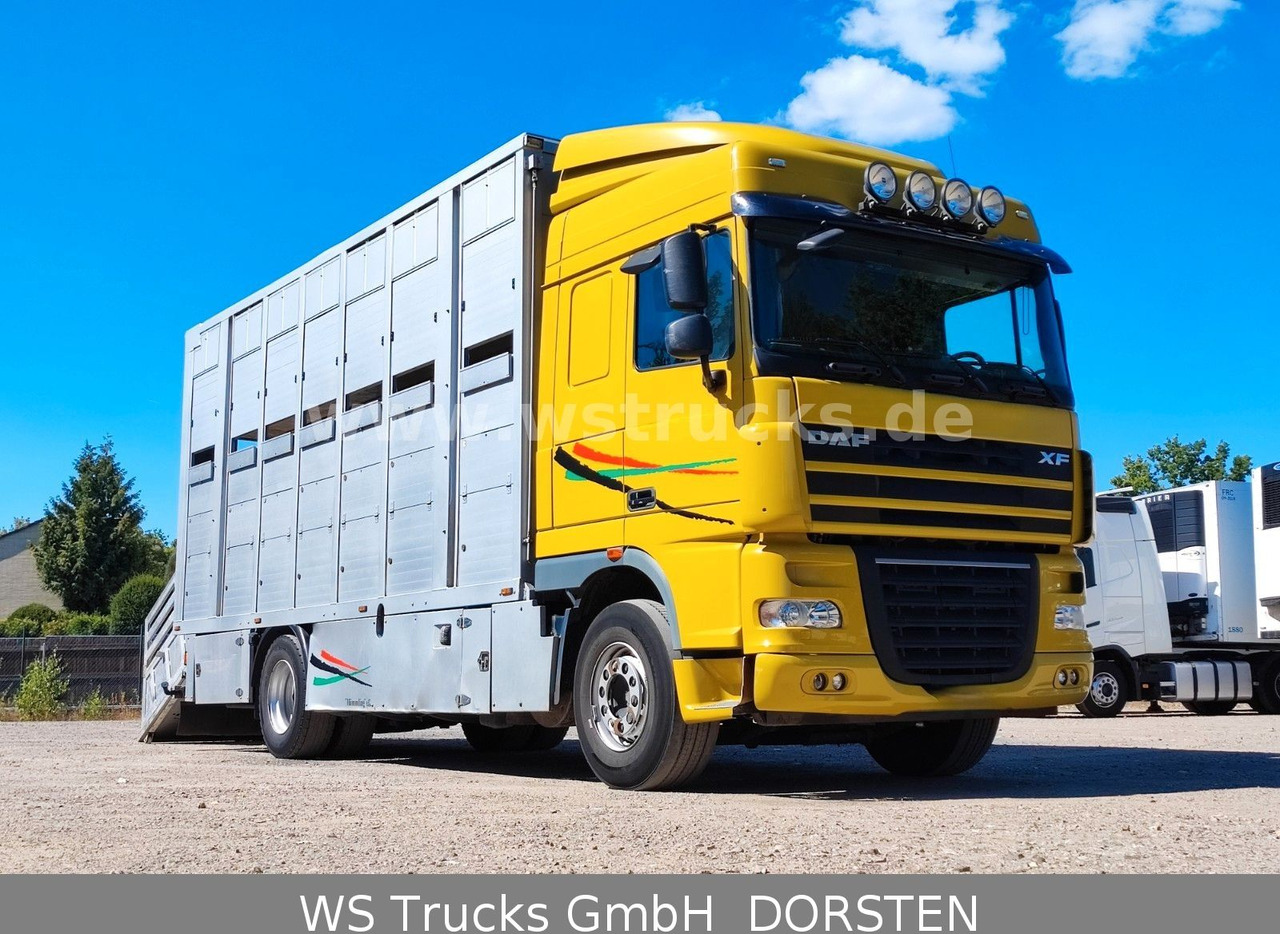 DAF XF 410 SC Menke Doppelstock - Horse truck: picture 4 DAF XF 410 SC Menke Doppelstock - Horse truck: picture 4