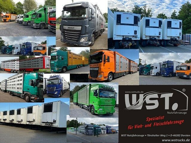 Curtainsider semi-trailer Krone SD 27 Planauflieger mit Edscha | ABS, EBS, XL: picture 18